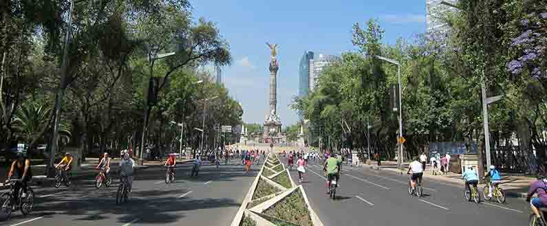 Join the International Education Fairs Mexico to present your study programs to students in Mexico City, Monterrey, and Guadalajara.