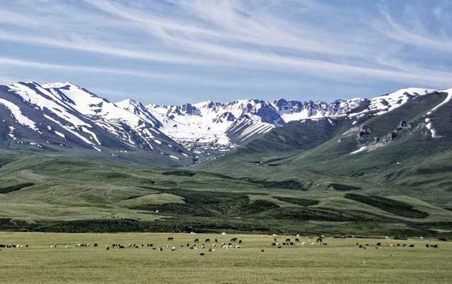 Read everything about the Kyrgyzstan education market