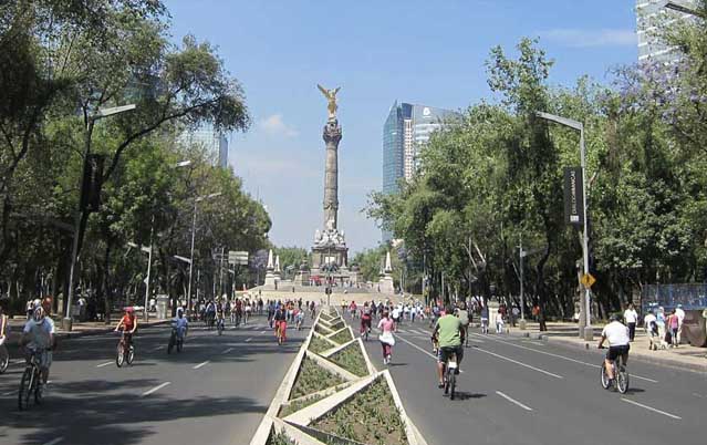 Read everything about the Mexican education market
