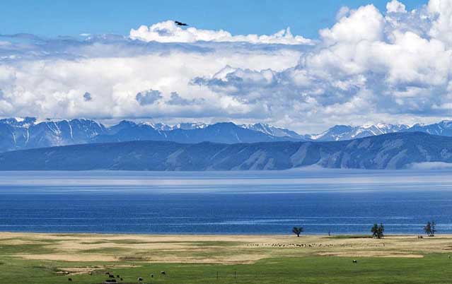 Read everything about the Mongolian education market