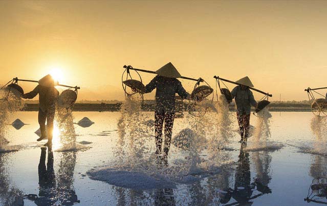 Read everything about the Vietnamese education market