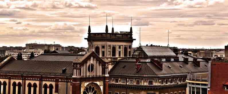 Discover opportunities at the World Education Fair Romania, tailored for a diverse spectrum of Romanian students seeking international studies